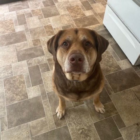 Meet your Posher, Joyce - Picture 1 of 1